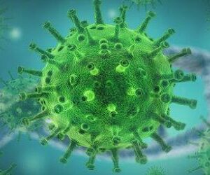 Bloodborne Pathogens (2 hours) - 100% online