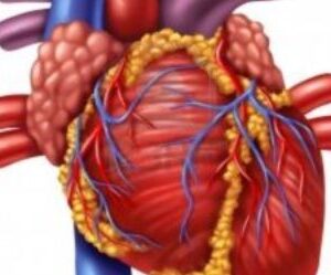 Learn™: Rapid STEMI ID Online Course (3.5-4.5 CE or 1 Credit)
